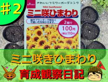 Thumbnail of post image 110